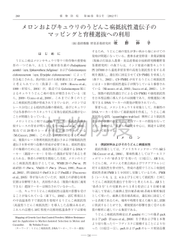 メロンおよびキュウリのうどんこ病抵抗性遺伝子の