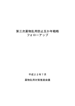 資料1 第三次薬物乱用防止五か年戦略フォローアップ（PDF