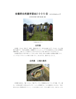 10月 米の刈り取り