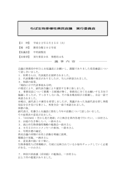 平成22年5月25日実行委員会議事録（PDF：116KB）