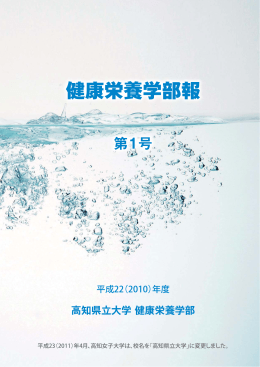 第1号 平成22（2010）年度