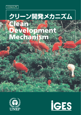 クリーン開発メカニズム - Capacity Development for the CDM
