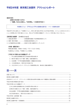 平成24年度 東京商工会議所 アクションレポート
