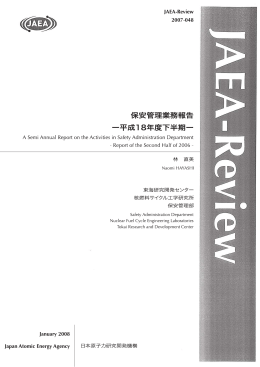 JAEA-Review-2007-048:6.17MB