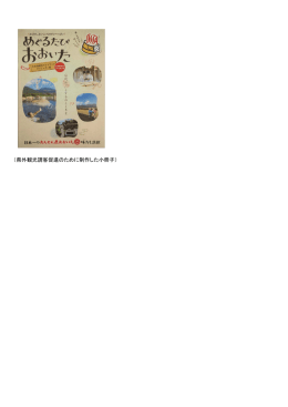 （県外観光誘客促進のために制作した小冊子）