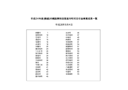 平成24年度(繰越)沖縄振興特別推進市町村交付金事業成果