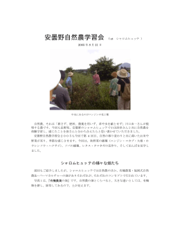 シャロムヒュッテの様々な畑たち