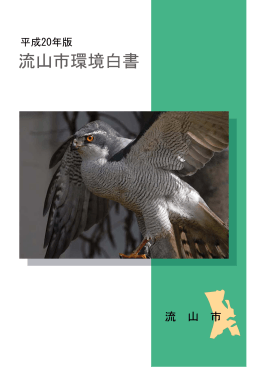 平成20年版