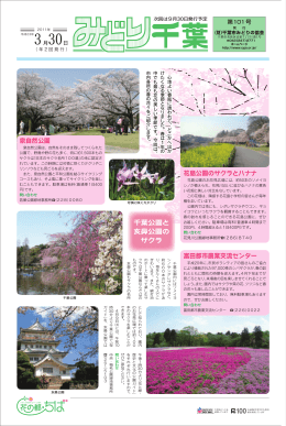 千葉公園と 亥鼻公園の サクラ