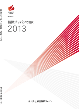損保ジャパンの現状 2013