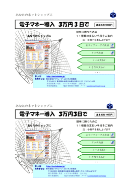 半ページパンフレット - アイキューブの電子マネーEdy決済ASPサービス