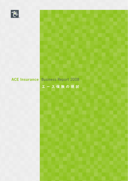 エース保険の現状 ACE Insurance Business Report 2008