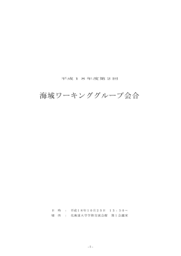 平成18年度 第2回 海域ワーキンググループ 議事録