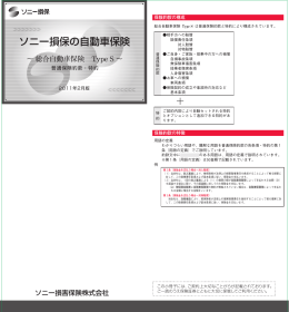総合自動車保険 Type S