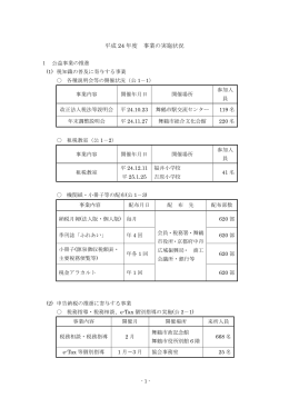 平成 24 年度 事業の実施状況