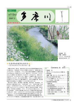 第113号（発行）セイヨウカラシナとカワセミ