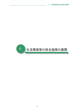 生活環境等の保全施策の展開（PDF：143KB）