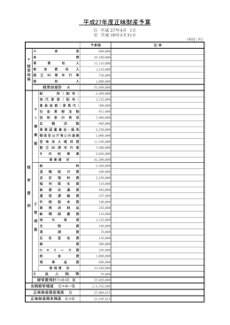 平成27年度正味財産予算