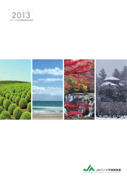 ディスクロージャー誌 2013年版（3.76MB）