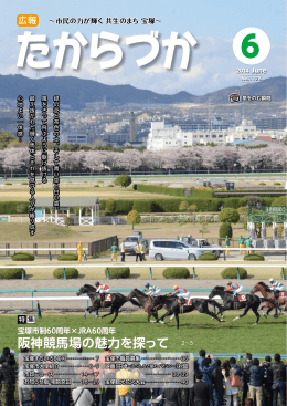 阪神競馬場の魅力を探って・・・・ ・ ・