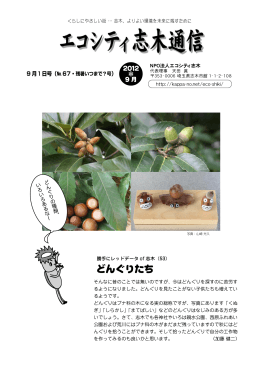 第67号 2012年9月 - 志木まるごと博物館河童のつづら
