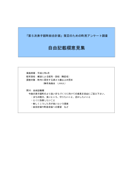 自由記載欄意見集