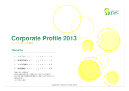 Corporate Profile 2013