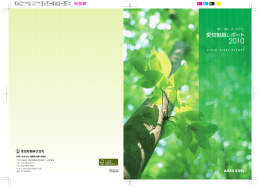 愛知製鋼レポート 2010
