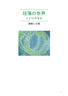 珪藻の世界 - 日本歯科大学