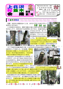 PDF版 - 上北沢桜並木会議