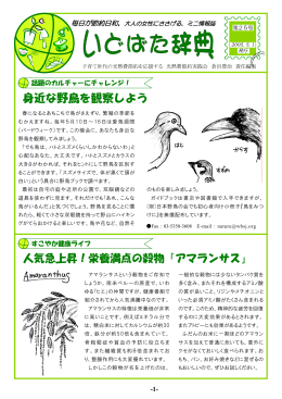 2005年 5月号