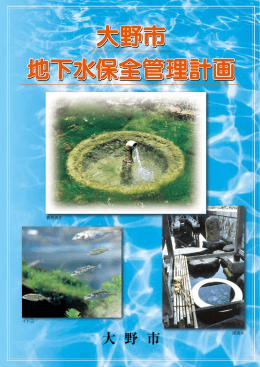 「大野市地下水保全管理計画」全文（PDFファイル）