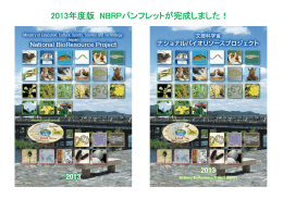 2013年度版 NBRPパンフレットが完成しました！