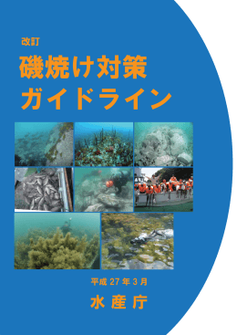 本編(1)（PDF：3648KB）