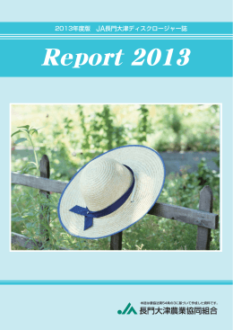 Report 2013