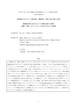 薬物使用者に対するエイズ対策に関する研究