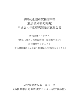 平成24年度研究開発実施報告書