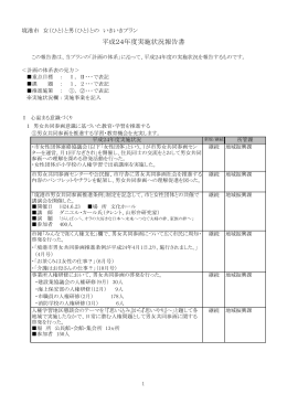 平成24年度実施状況報告書