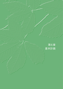 第6章 基本計画（PDF／1.1MB）