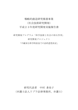 平成23年度研究開発実施報告書