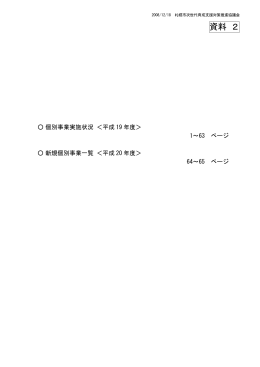 新規個別事業一覧（平成20年度）