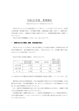 平成 23 年度 事業報告