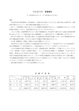 平成 22 年度 事業報告