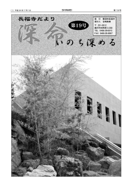 深命19号