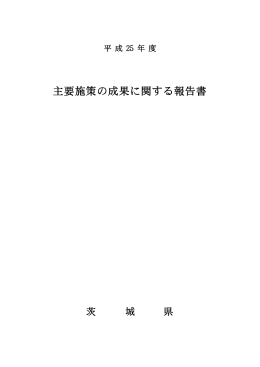 平成25年度主要施策の成果に関する報告書（PDF：2042KB）