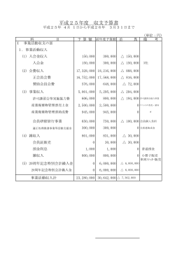 平成25年度 収支予算書