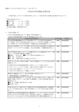 平成25年度実施状況報告書