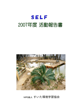 2007年