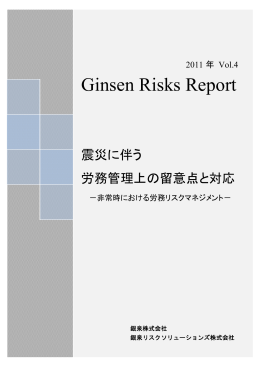 Ginsen Risks Report