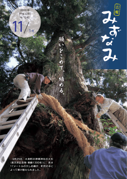 11月1日号